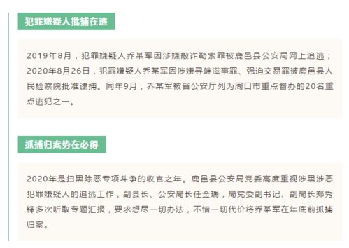 周口城事 酬金制物業管理落地老舊小區，涉惡嫌犯歸案與公交車浪漫婚禮同現
